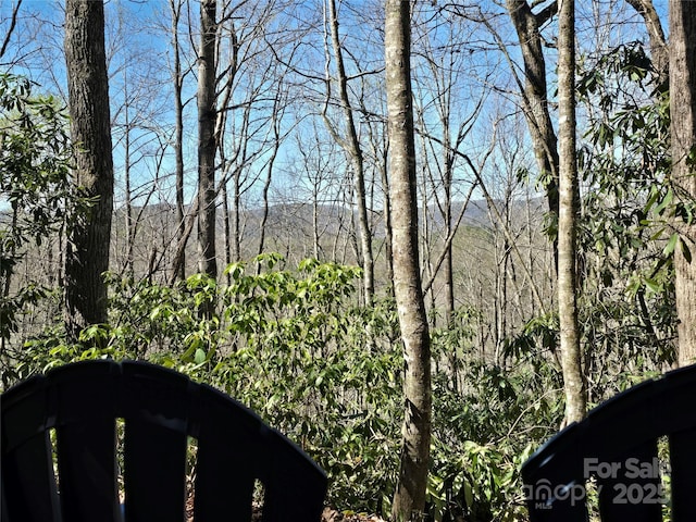 LOT96 Black Oak Dr Unit 96, Sapphire, NC 28774 - photo 4