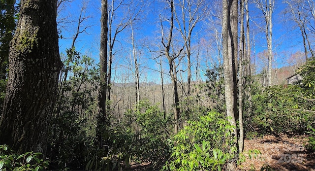 LOT96 Black Oak Dr Unit 96, Sapphire, NC 28774 - photo 5