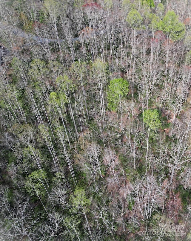 LOT96 Black Oak Dr Unit 96, Sapphire, NC 28774 - photo 6
