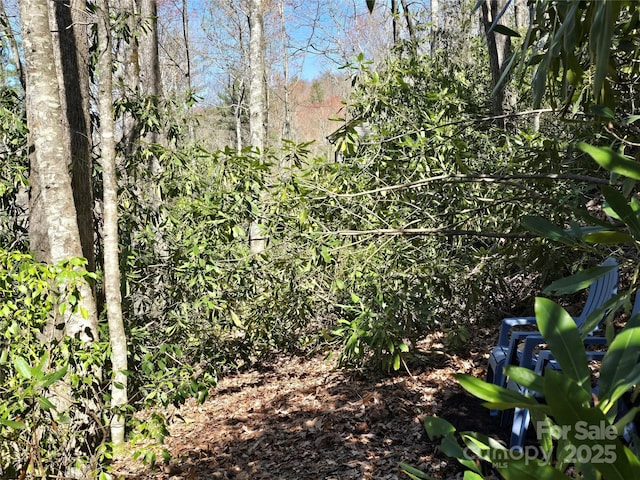 LOT96 Black Oak Dr Unit 96, Sapphire, NC 28774 - photo 7
