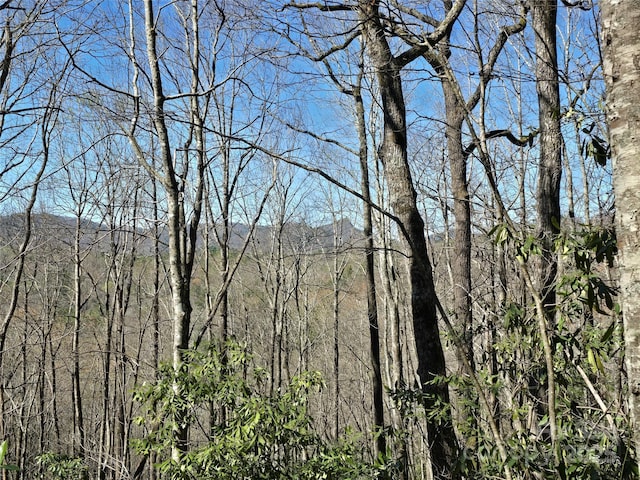 LOT96 Black Oak Dr Unit 96, Sapphire, NC 28774 - photo 8