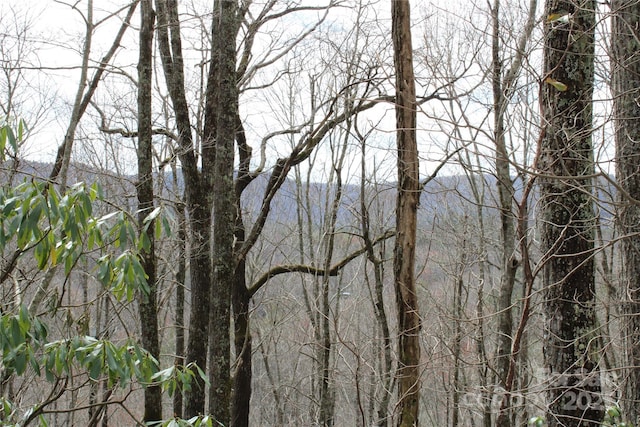 LOT96 Black Oak Dr Unit 96, Sapphire, NC 28774 - photo 9