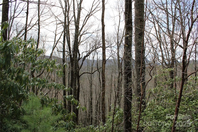 LOT96 Black Oak Dr Unit 96, Sapphire, NC 28774 - photo 10