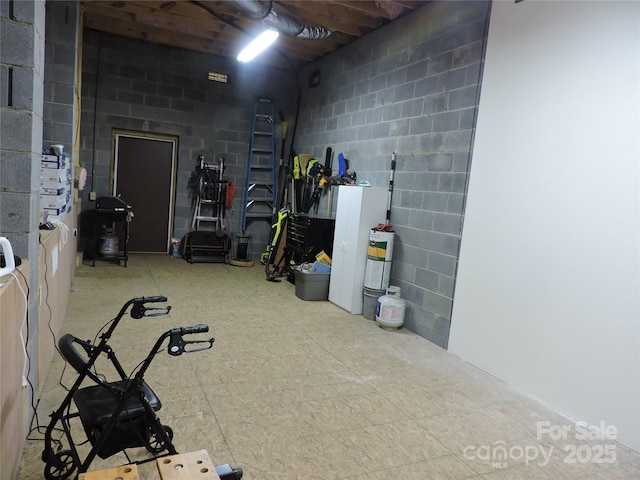 235 Red Oak Ln, Burnsville, NC 28714 - below grade area with concrete block wall