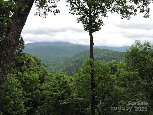 235 Red Oak Ln, Burnsville, NC 28714 - view of mountain background featuring a heavily wooded area