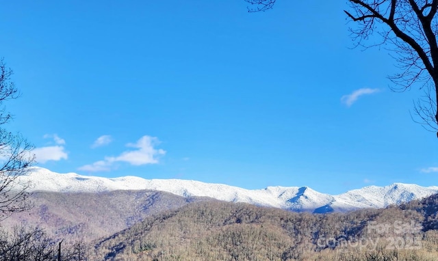 235 Red Oak Ln, Burnsville, NC 28714 - view of mountain backdrop