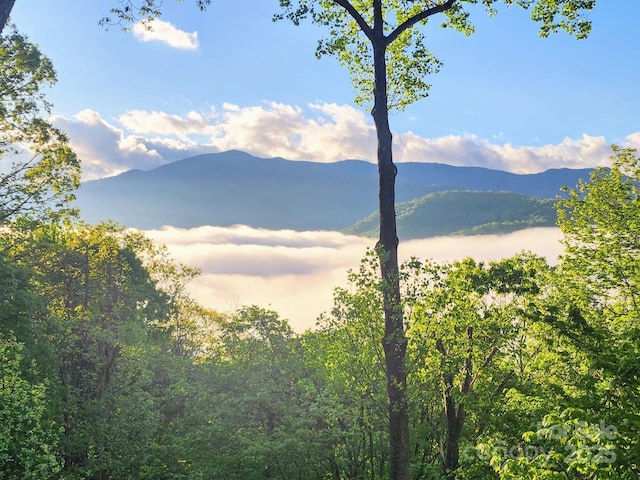 235 Red Oak Ln, Burnsville, NC 28714 - mountain view