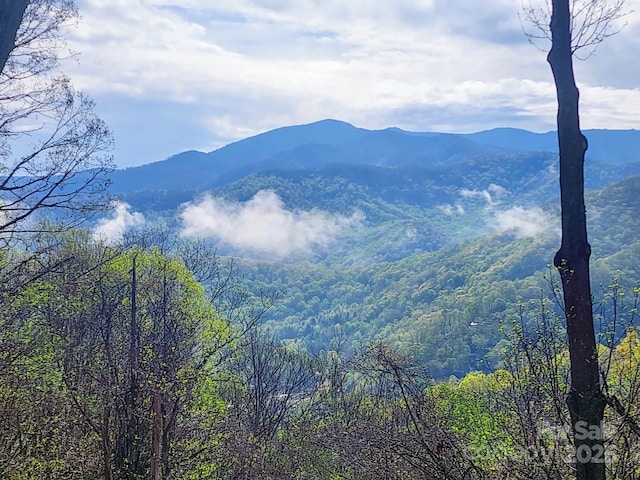 235 Red Oak Ln, Burnsville, NC 28714 - view of mountain background featuring a heavily wooded area