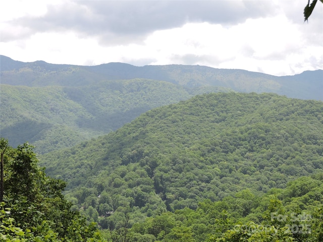 235 Red Oak Ln, Burnsville, NC 28714 - view of mountain backdrop with a forest