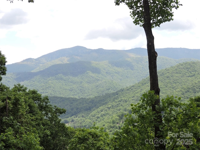 235 Red Oak Ln, Burnsville, NC 28714 - view of mountain backdrop with a forest