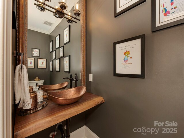 4201 Quail Hunt Ln, Charlotte, NC 28226 - bathroom with ornamental molding, a sink, and a chandelier