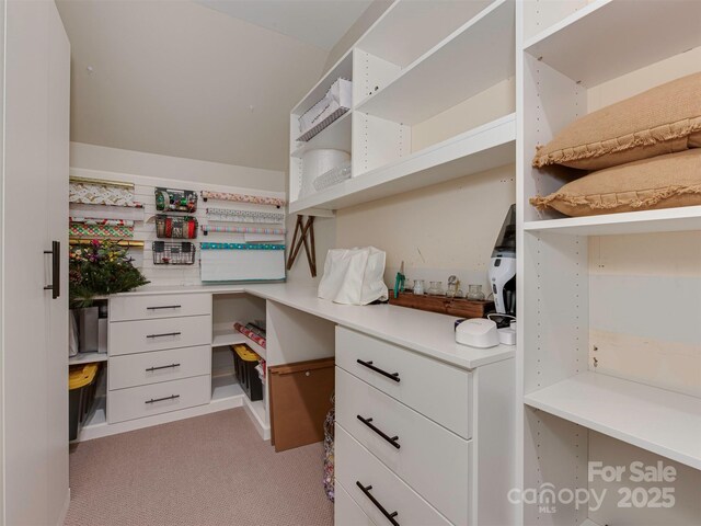 4201 Quail Hunt Ln, Charlotte, NC 28226 - walk in closet featuring light carpet