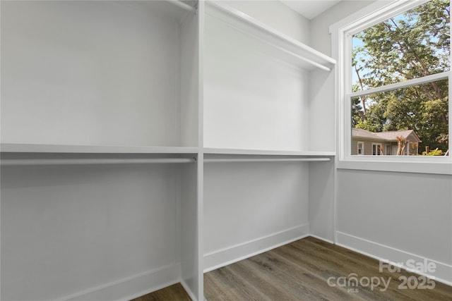 1016 Confederate Ave S, Rock Hill, SC 29732 - spacious closet featuring wood finished floors