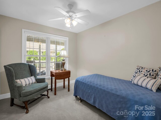 116 Memphis Way, Spindale, NC 28160 - carpeted bedroom featuring baseboards and ceiling fan