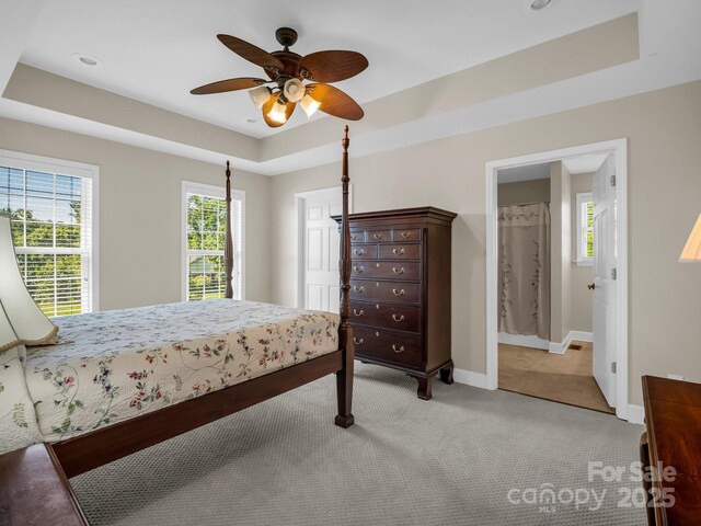 116 Memphis Way, Spindale, NC 28160 - bedroom featuring light carpet, a tray ceiling, multiple windows, and baseboards