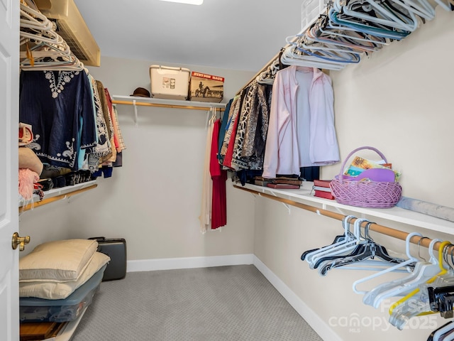 116 Memphis Way, Spindale, NC 28160 - walk in closet featuring carpet floors