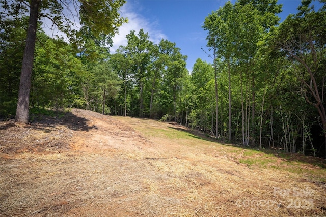 2934 Drummond St, Connelly Springs, NC 28612 - view of wooded area