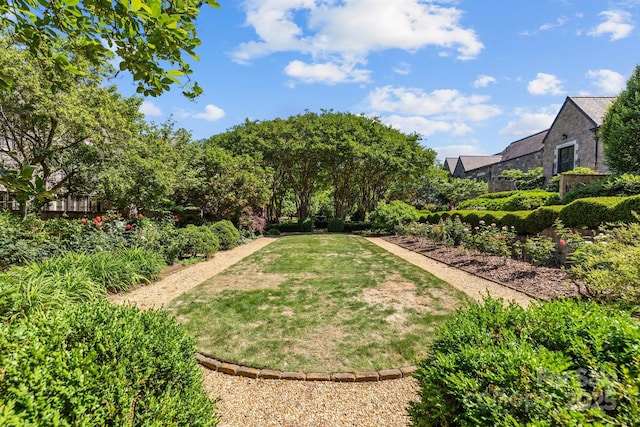1625 Bibury Ln, Charlotte, NC 28211 - view of grassy yard
