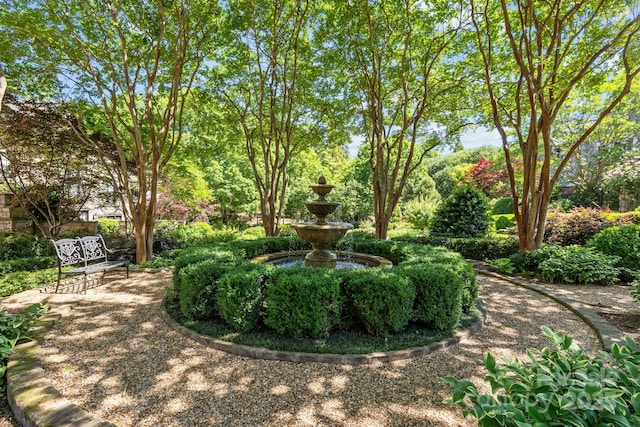1625 Bibury Ln, Charlotte, NC 28211 - view of yard
