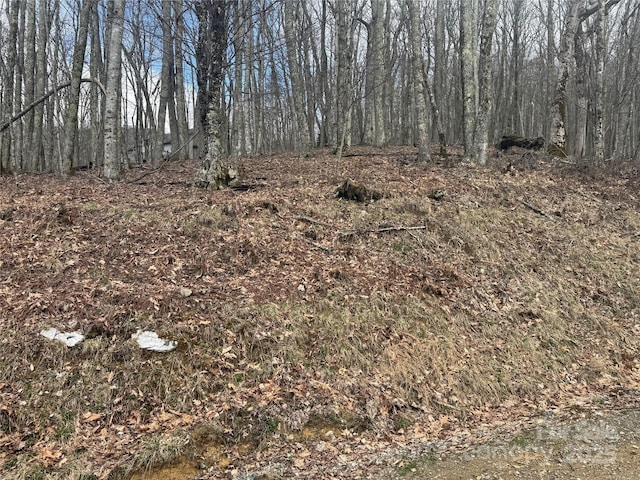 344 Tearshirt Ln, Mars Hill, NC 28754