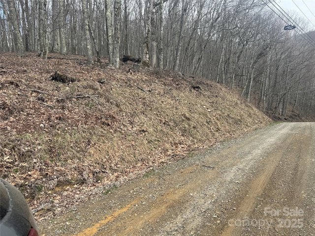 344 Tearshirt Ln, Mars Hill, NC 28754