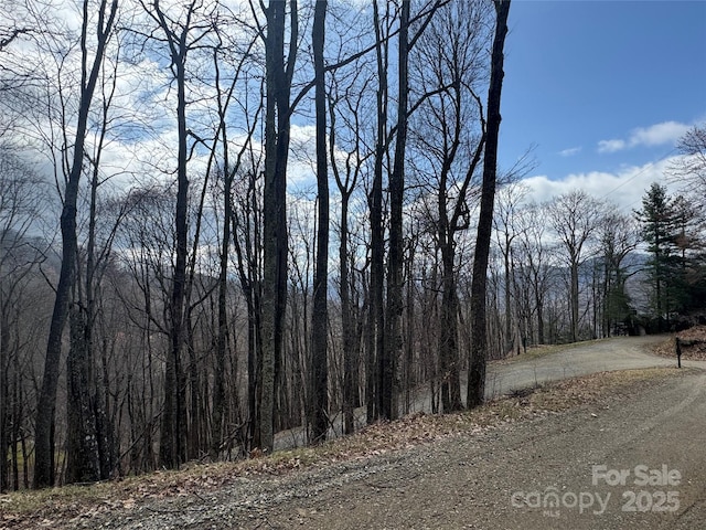 344 Tearshirt Ln, Mars Hill, NC 28754
