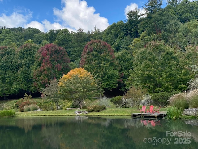344 Tearshirt Ln, Mars Hill, NC 28754