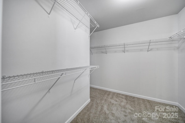 149 Briana Marie Way, Indian Trail, NC 28079 - walk in closet with carpet