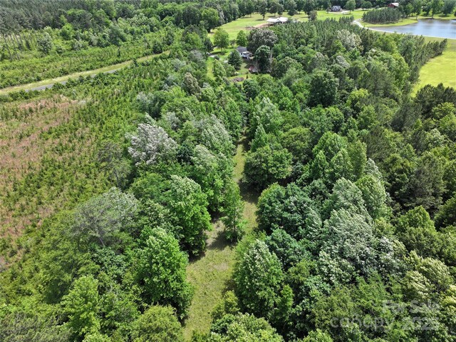 4636 Brown Creek Church Rd, Wadesboro, NC 28170 - photo 11