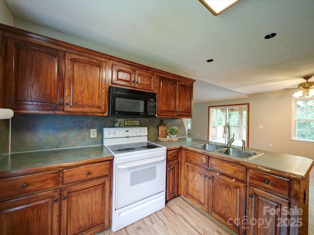 4636 Brown Creek Church Rd, Wadesboro, NC 28170 - photo 16