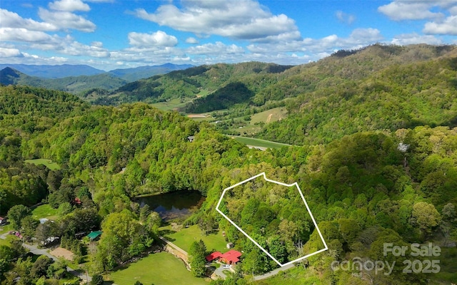 56 Hidden Valley Rd, Clyde, NC 28721