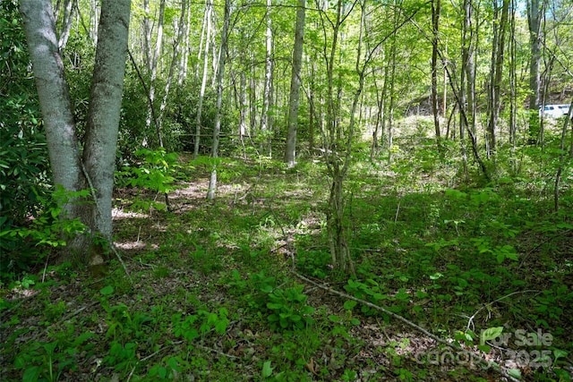 56 Hidden Valley Rd, Clyde, NC 28721