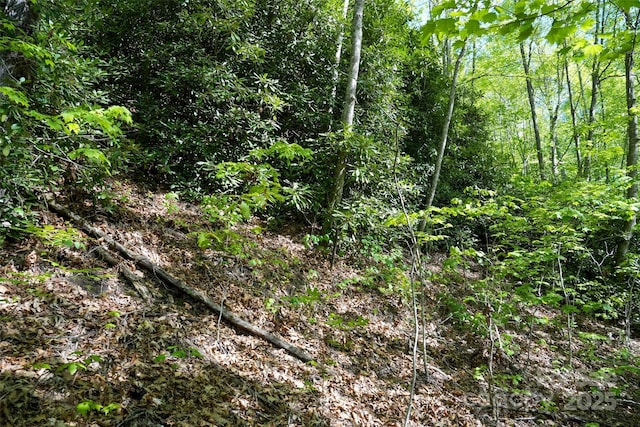56 Hidden Valley Rd, Clyde, NC 28721