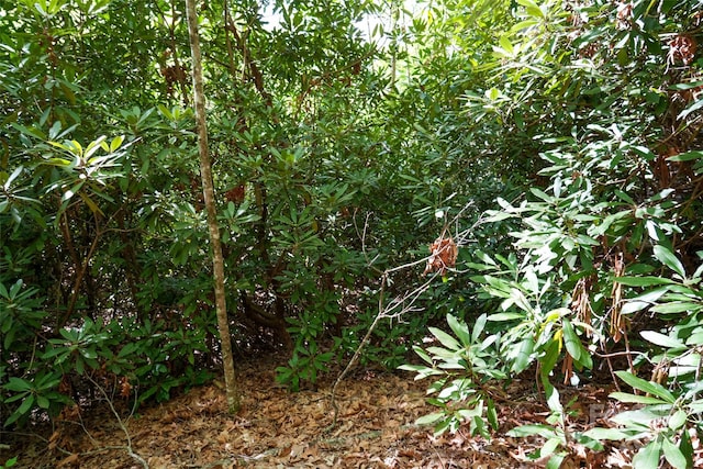 56 Hidden Valley Rd, Clyde, NC 28721