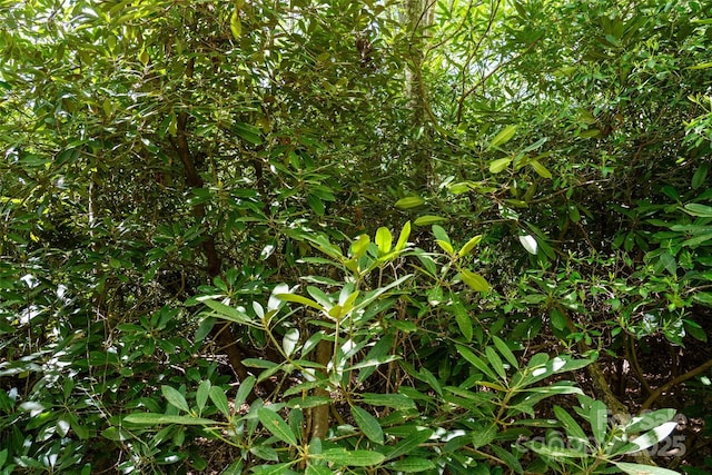 56 Hidden Valley Rd, Clyde, NC 28721