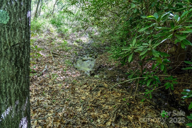 56 Hidden Valley Rd, Clyde, NC 28721