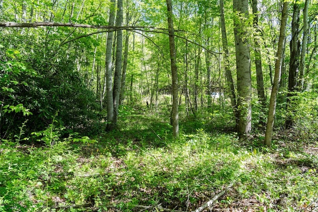 56 Hidden Valley Rd, Clyde, NC 28721