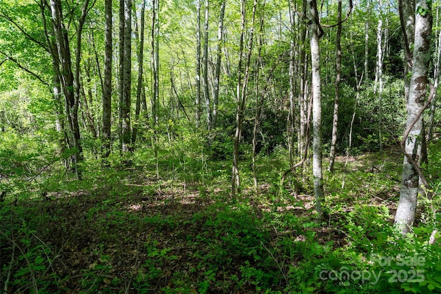 56 Hidden Valley Rd, Clyde, NC 28721