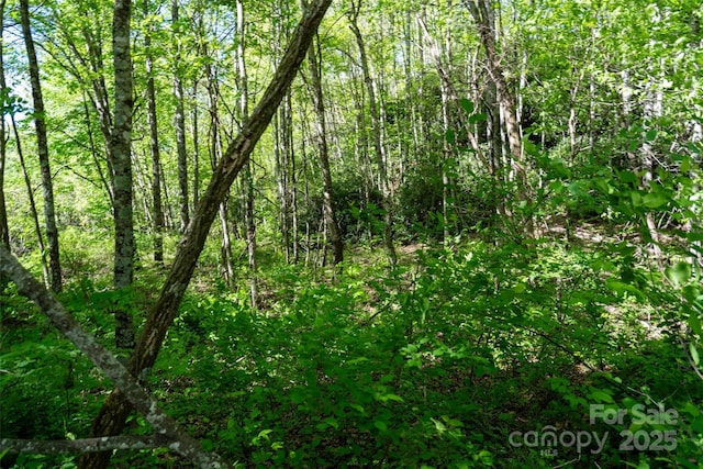 56 Hidden Valley Rd, Clyde, NC 28721