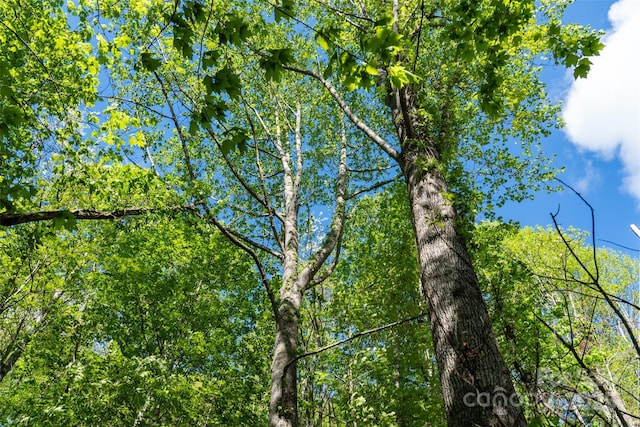 56 Hidden Valley Rd, Clyde, NC 28721