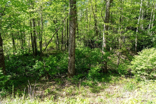 56 Hidden Valley Rd, Clyde, NC 28721