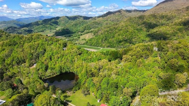 56 Hidden Valley Rd, Clyde, NC 28721