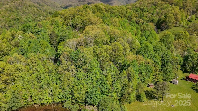 56 Hidden Valley Rd, Clyde, NC 28721