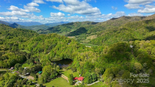 56 Hidden Valley Rd, Clyde, NC 28721