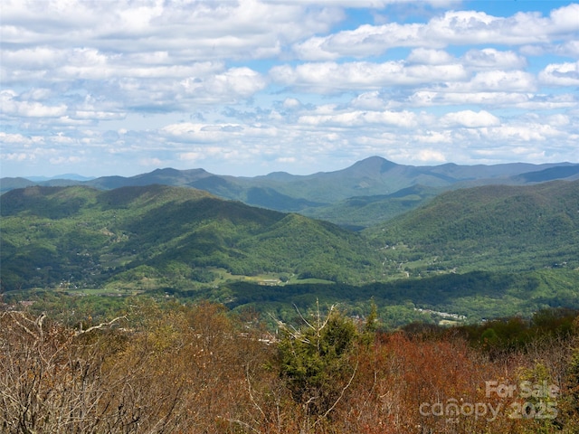 4344 Eagles Nest Rd, Waynesville, NC 28786 - view of mountain backdrop