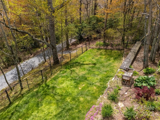 4344 Eagles Nest Rd, Waynesville, NC 28786 - view of yard