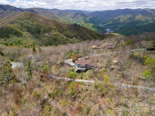4344 Eagles Nest Rd, Waynesville, NC 28786 - view of mountain background