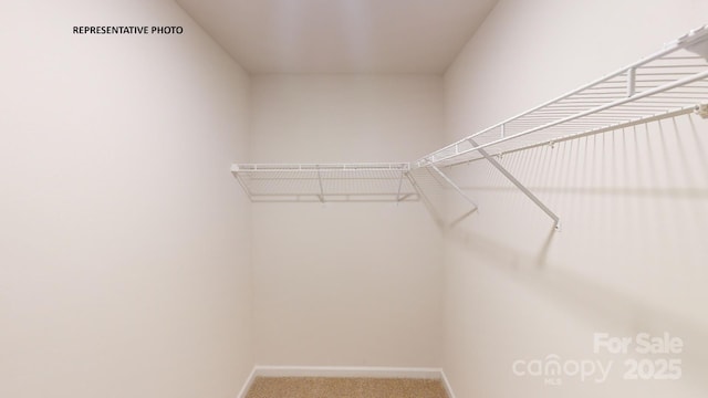 921 Two Brothers Ln, York, SC 29745 - walk in closet featuring carpet flooring