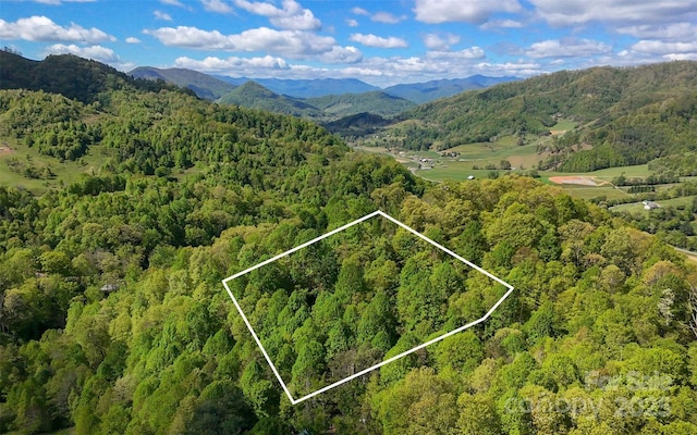 72 Lonesome Pines Rd, Clyde, NC 28721