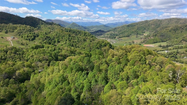 72 Lonesome Pines Rd, Clyde, NC 28721
